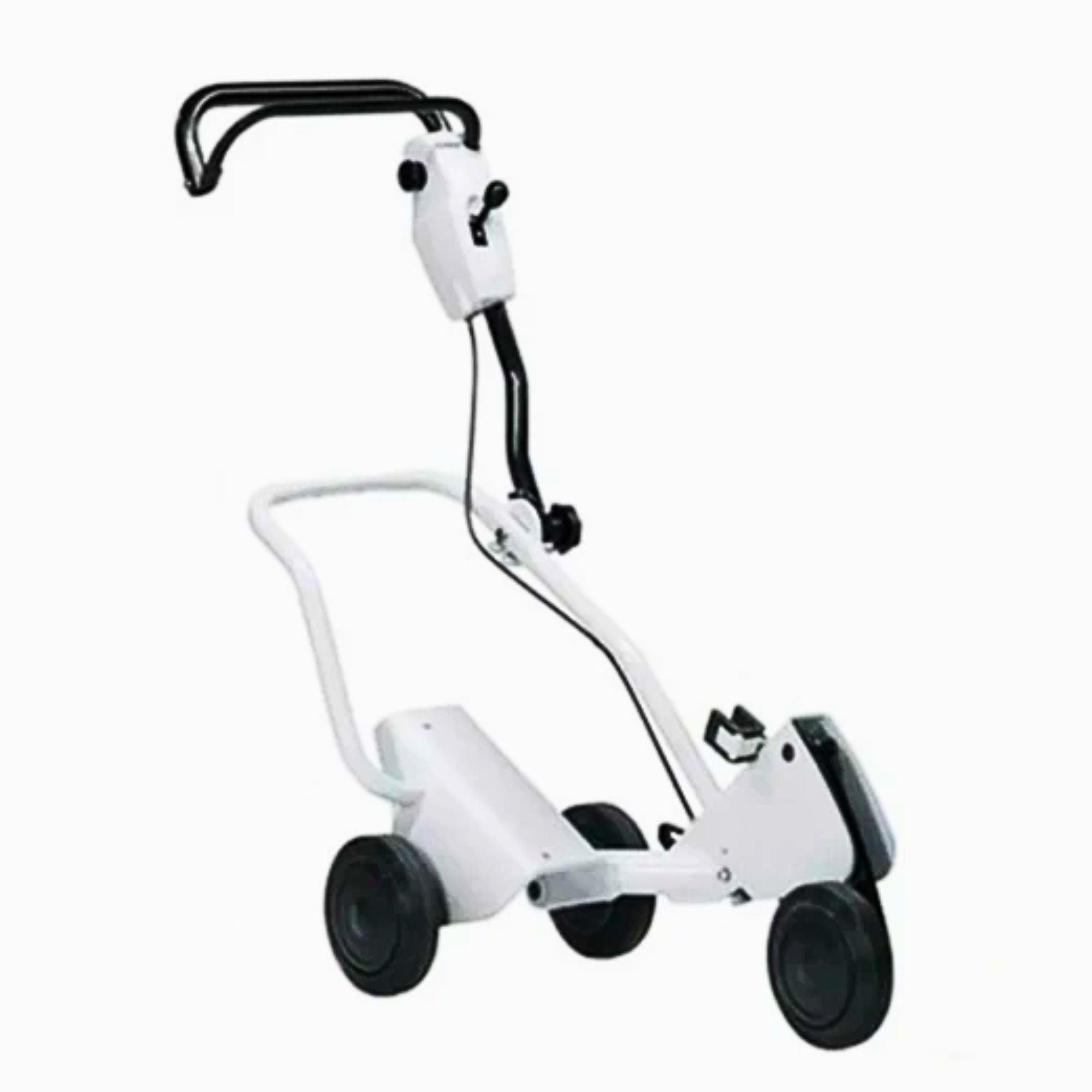 Rental store for FW 20 TS CART - STIHL - 4224 710 1403 in Lubbock TX
